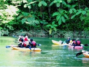 [Okinawa ・ Kunigami village] ★ Nov.~ April only ★ Cruise the wilderness of nature (Winter Canoe Tour)