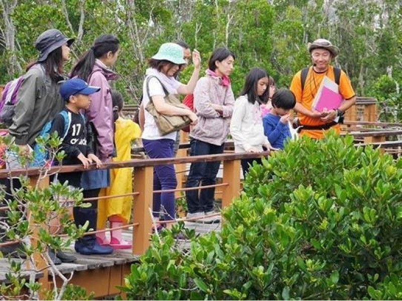 [Okinawa Naha] Enjoy the nature of Manko Lake, the first in the town series "Nature de nature experience"! Walking distance from monorail station!の紹介画像