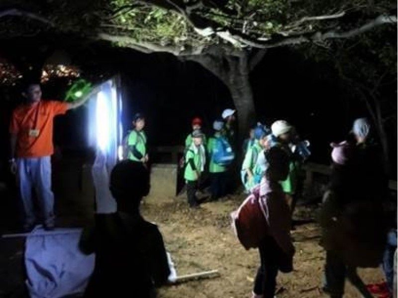 【沖縄・那覇】ライトトラップを仕掛けて夜に活動する虫たちを観察しよう!