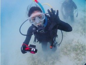 沖縄 宮古島 ライセンスなしで地形も ボート体験ダイビング お客様大感謝祭 アクティビティジャパン