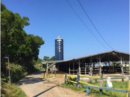 [Okinawa Ogimi village] Leisurely at the ranch ☆ Butter making experience Bread & milk tasting (2 people ~ OK 3000 yen / person)の画像
