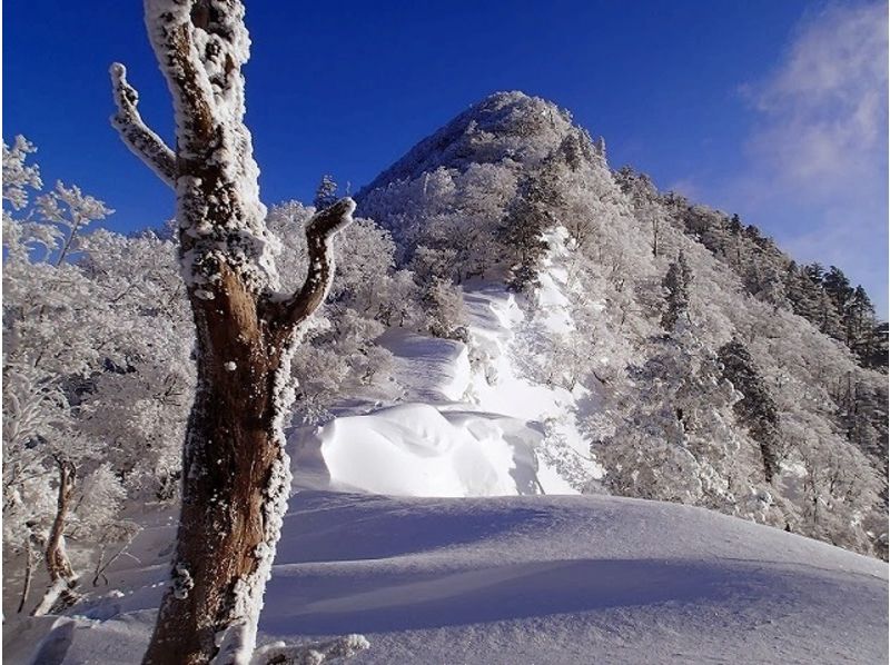 【奈良・中級雪山登山】大普賢岳の紹介画像
