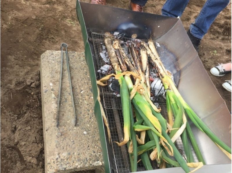 【千葉・山武郡】町特産！長ネギの収穫体験☆畑でネギ焼き！