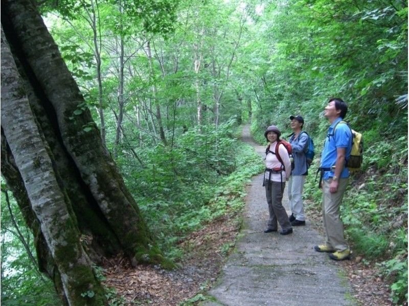 【長野・大町市】あなたの知らない黒部ダムの事実をガイドがご案内でさらに感動UP！１２才から参加OK！