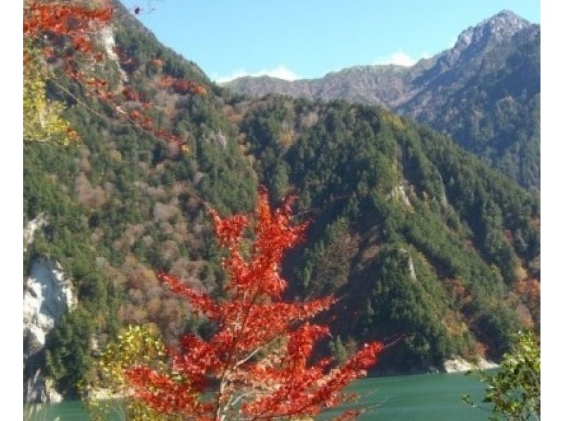 [Nagano/Omachi City Nature Walk/Nature Observation] Kurobe Dam and Forest Tour (4 hours) 12 years old ~ Local coupon available planの紹介画像