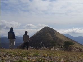 【山梨・八ヶ岳】花の名山・飯盛山周遊トレッキング