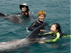 【高知・室戸岬】室戸岬でイルカと泳ごう!〔ドルフィンスイム〕の画像
