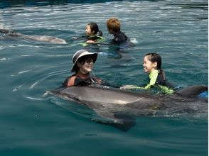 【高知・室戸岬】冬でもイルカと泳げます!〔冬季ドルフィンスイム〕の画像