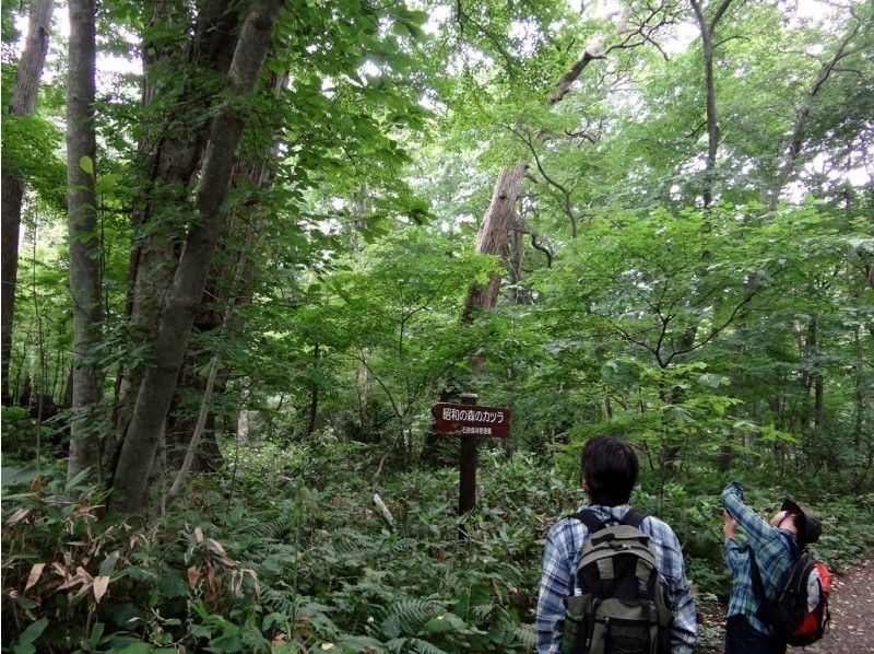【北海道・札幌】約６～８ｋｍウォーク「野幌の森ハイキング」５才から参加OK！（お菓子・軽食付き）