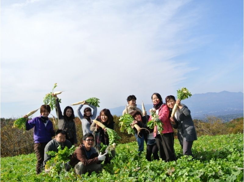 【Fukushima / Ninomatsu City】 Countryside enjoyment! Farm inns & vegetables harvest experienceの紹介画像