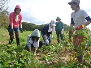 【 福岛/二本松市】夏天与自然相连！收获蔬菜（经验）