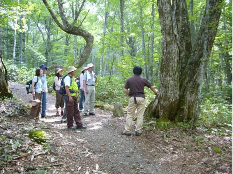 【岐阜・鍋平高原】大自然に溶け込もう♪鍋平高原ガイドウォーク♪