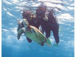 【沖縄宮古島】9年前~営業中!遭遇率100%ウミガメと一緒に泳ぐシュノーケルフォトツアー 団体割有!の画像