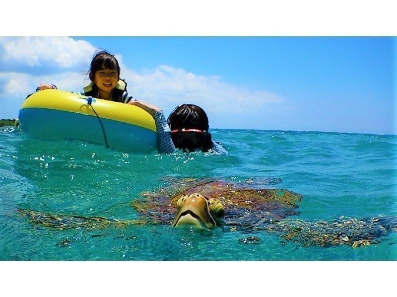 11年前～営業中！遭遇率99%ウミガメと一緒に泳ぐシュノーケルフォトツアー　団体割有！カード払い