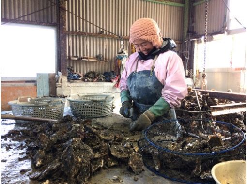 [Winter only! ] Excellent access! All-you-can-eat Uramura oysters from Ise / Futamiura barbecue area! !!の画像
