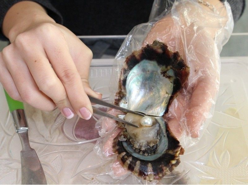 沖縄那覇 一枚500日元珍珠珍珠搗碎體驗 親自摘珍珠是一種體驗 近國齋街 觀光之間 Activityjapan 沖縄那覇 一枚500日元珍珠珍珠搗碎體驗 親自摘珍珠是一種體驗 近國齋街 觀光之間 Activityjapan
