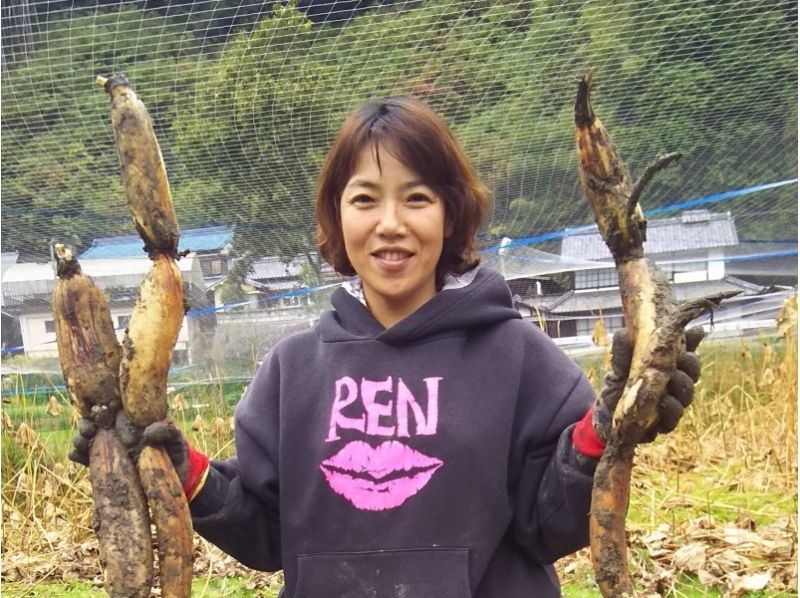 【奈良・山辺郡】宝探しのように楽しむ★今日はれんこんホリデ~!