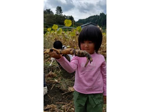 【奈良・山辺郡】宝探しのように楽しむ★今日はれんこんホリデ～！の画像