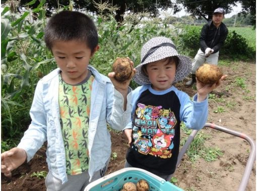 [Gunma ・ Maebashi City】 Touching agriculture such as "seeding" and "harvesting"half-day Spend ★ Countryside experienceの画像