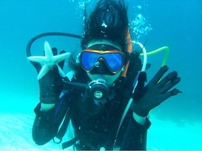 PADI Gold card acquisition course Open Water Diverの紹介画像