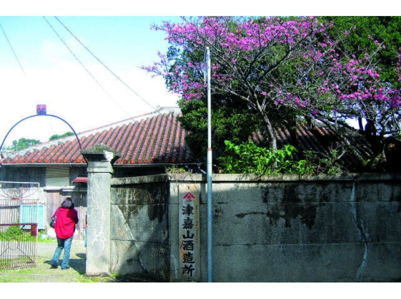 【沖縄・名護】観光ガイドツアー 「市営市場と酒造所」めぐりで沖縄の食文化にふれるコース