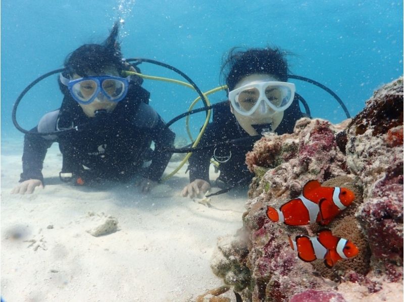 【沖縄・石垣島】体験ダイビング&シュノーケル&幻の島・竹富島観光の2島巡りツアー