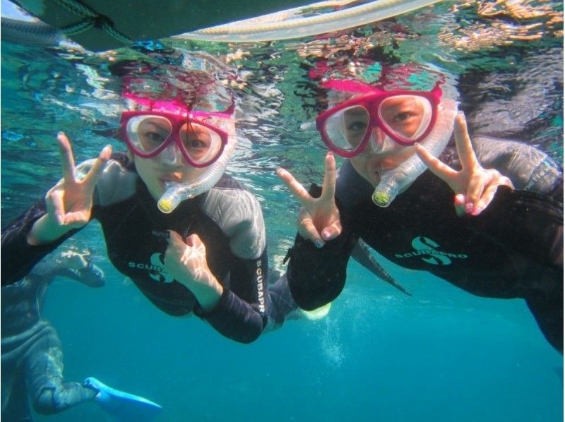 【沖縄・石垣島 シュノーケル&竹富島観光の海遊び&離島観光コース