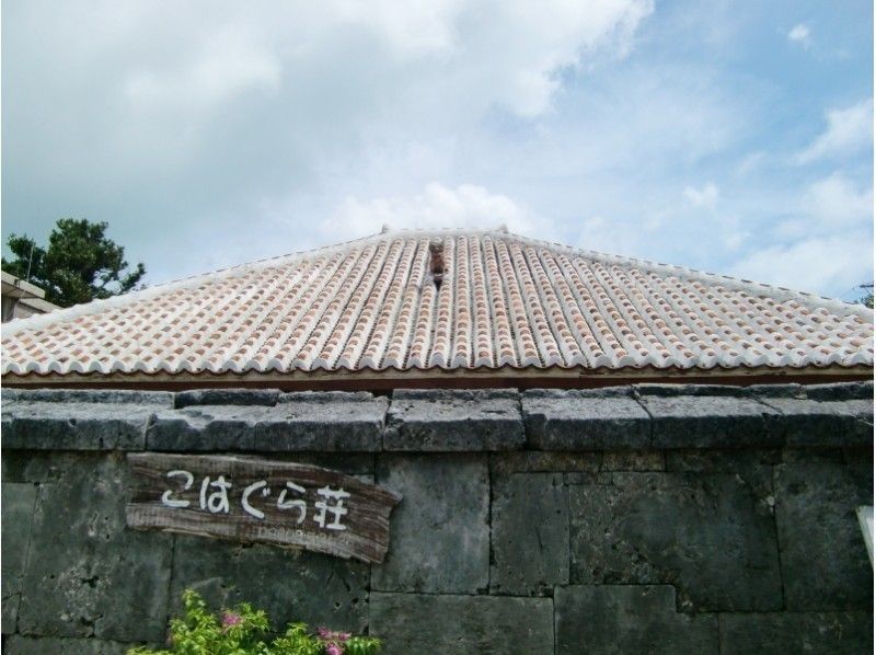 【沖縄】西表島・由布島 ・小浜島 Bコース