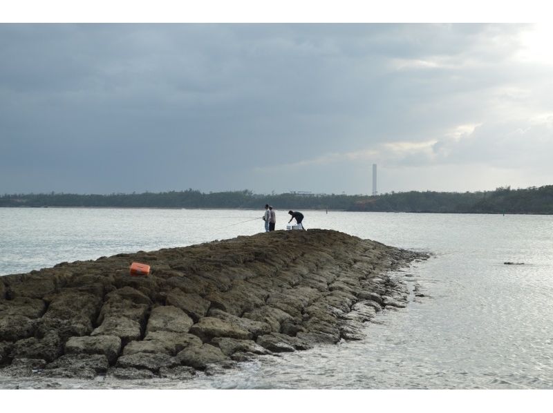 沖縄 宜野座 釣り体験 磯釣り コース アクティビティジャパン