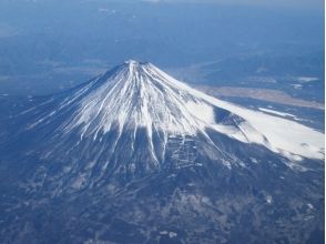 お台場 豊洲のアクティビティ 遊び 体験 レジャーの格安予約 アクティビティジャパン 日帰り旅行