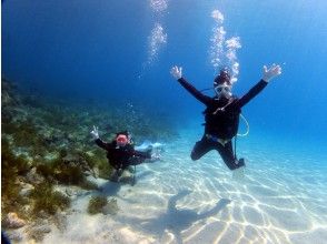【屋久島・体験ダイビング】初心者も安心！屋久島の海で体験ダイビング（半日・動画撮影付き）