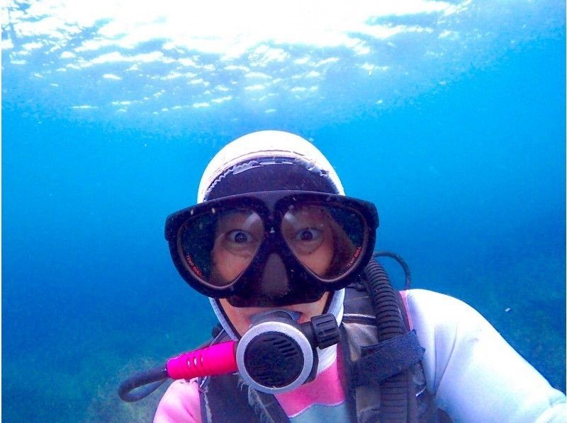 【神奈川・湘南・葉山】湘南・葉山に一番近いタンクサービス店♪ 〔ファンダイビング〕