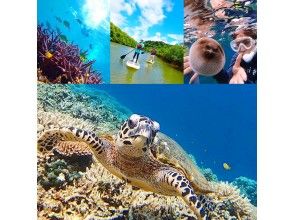 西表島 由布島 バラス島 鳩間島のシュノーケリング体験 ツアーのアクティビティ 遊び 体験 レジャーの格安予約 アクティビティジャパン 日帰り旅行