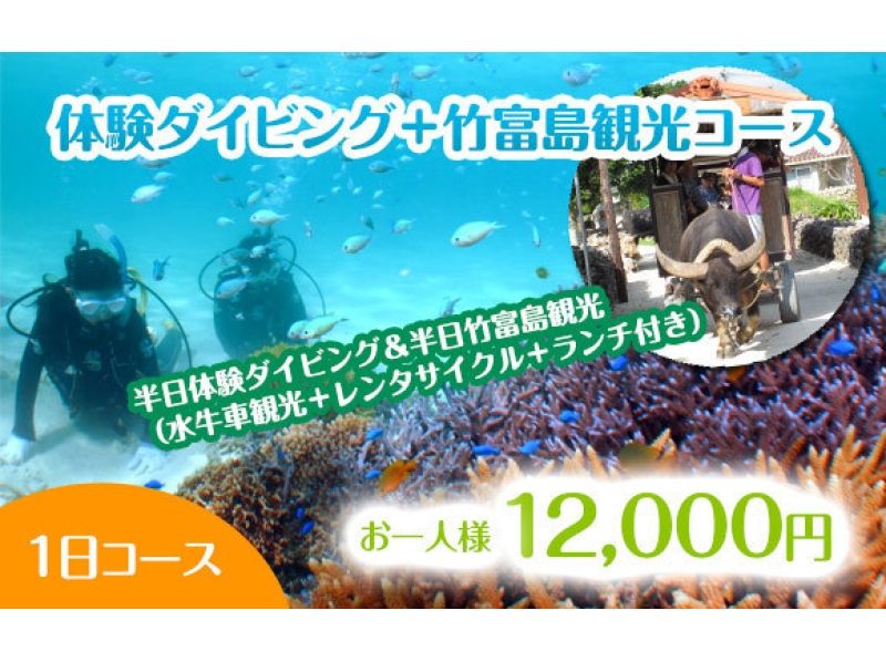【沖縄・石垣 / 竹富】体験ダイビング+竹富島観光 (１日コース)
