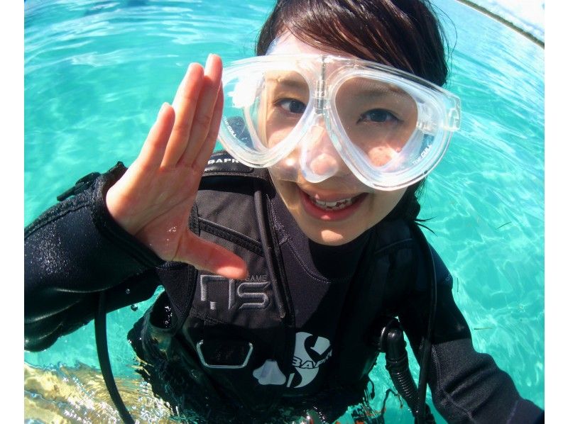 [Okinawa ・ Ishigaki / Taketomi] experience Diving+ Taketomijima sightseeing (1 day course)の紹介画像