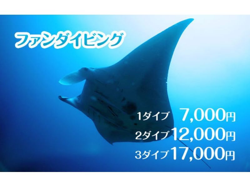 ファンダイビング(1～3DIVE)