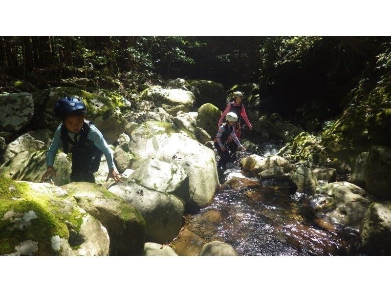 【徳島・牟岐】マイナスイオンたっぷり★シャワークライミング体験!ファミリーコース(2.5時間)