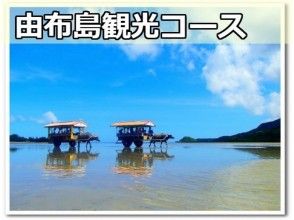 【沖縄・西表島】当店一番人気と定番の組み合わせ「ゲーダの滝&由布島」コース(1日 8時間)の画像