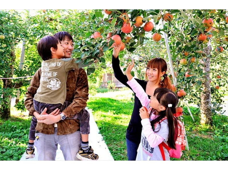 [Gunma / Numata] Enjoy the charm of fruits! Picking apples at a tourist fruit farm!の紹介画像