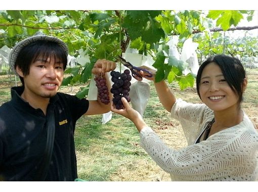 群馬 沼田 甘くてジューシーなぶどう狩り アクティビティジャパン