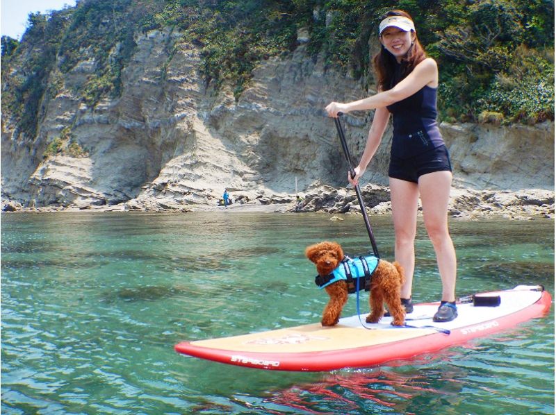 【神奈川・葉山】プライベート感満載の美しい海!体験SUPクラス / 1ドリンク付 (1時間)