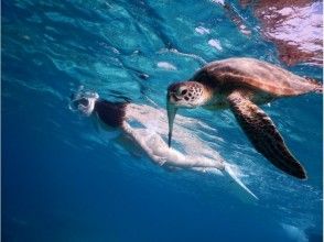 【Okinawa · Miyakojima】 ☆ Encounter rate 100% ☆ Image of the photo tour swimming with sea turtle