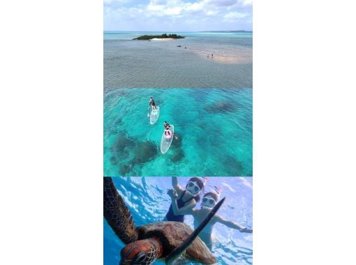 【宮古島】ウミガメシュノーケル&SUP体験☆10年間遭遇率100％☆水着なし/当日OK☆どちらかのみ相談可能の画像