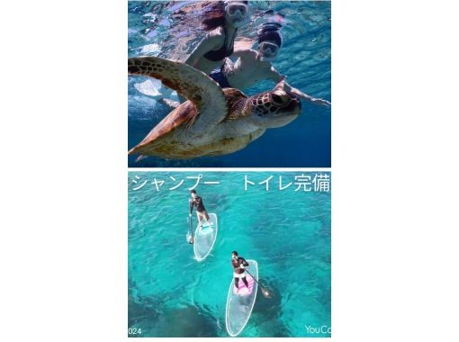 「SALE！」【宮古島】ウミガメと泳ぎSUPも体験☆10年間遭遇率100％☆水着なしOK☆当日OK☆3名以上で貸切￥0どちらかのみ相談可能の画像