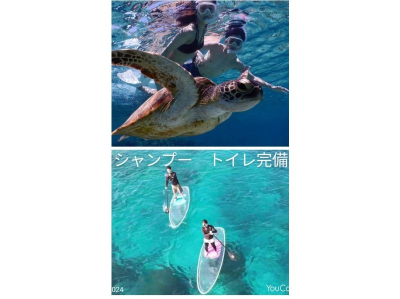 [宫古岛]☆遭遇率100％☆与海龟一起游泳的浮潜之旅＠免费租借浴巾！の紹介画像
