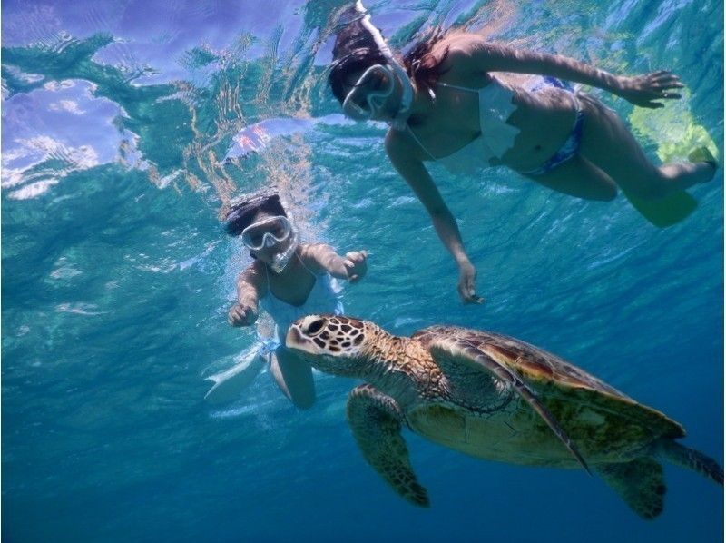 【沖縄・宮古島】★遭遇率100%★ウミガメと珊瑚どっちもシュノーケリングツアー