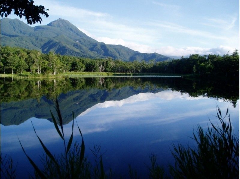 知床自然体験1日コース～豊かな森をじっくり楽しむ♪～