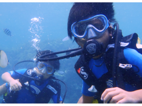 Blue Cave Specialty Okinawa Diving Shop Wa