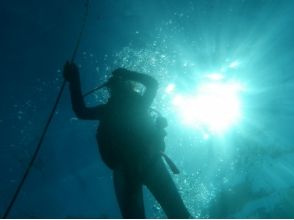 [Kagoshima ・ Tanegashima]Tanegashima Is a dragon Miyagi! Experience Diving plan(half-day course)の画像