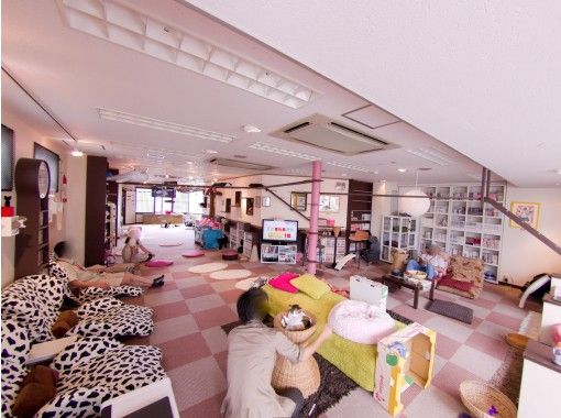 猫カフェ 猫家 大宮店